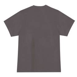 Remera Hombre Izzy Gris Talle S