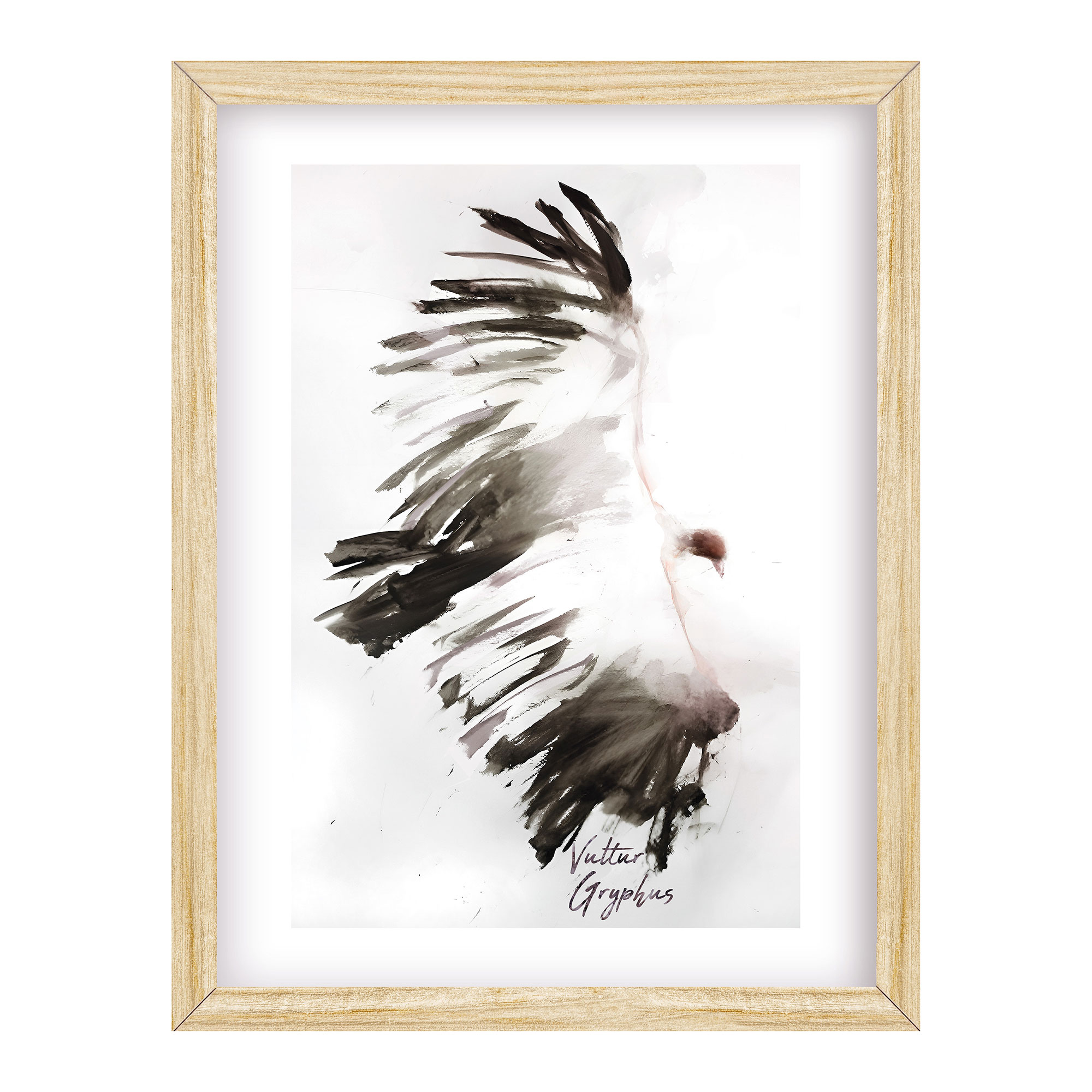 Cuadro Cóndor Blanco y Negro 20x30 cm