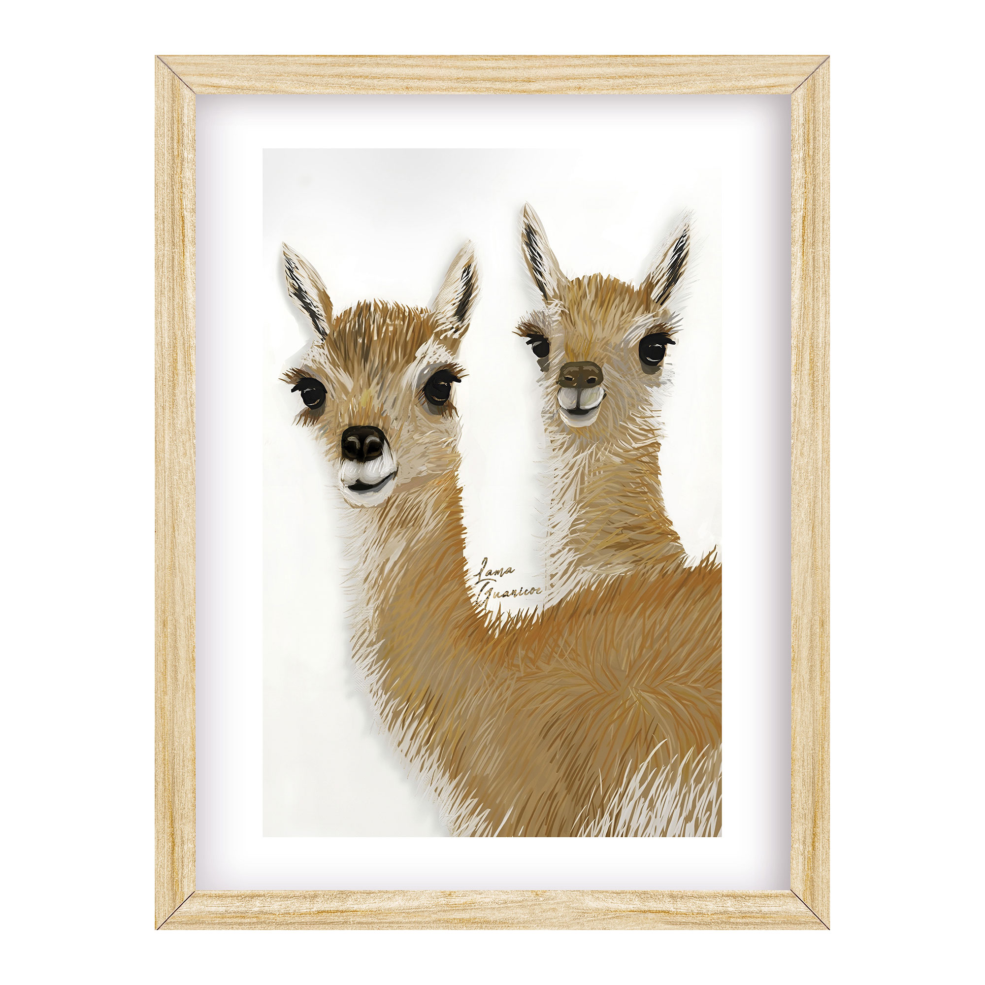 Cuadro Guanaco 20x30 cm
