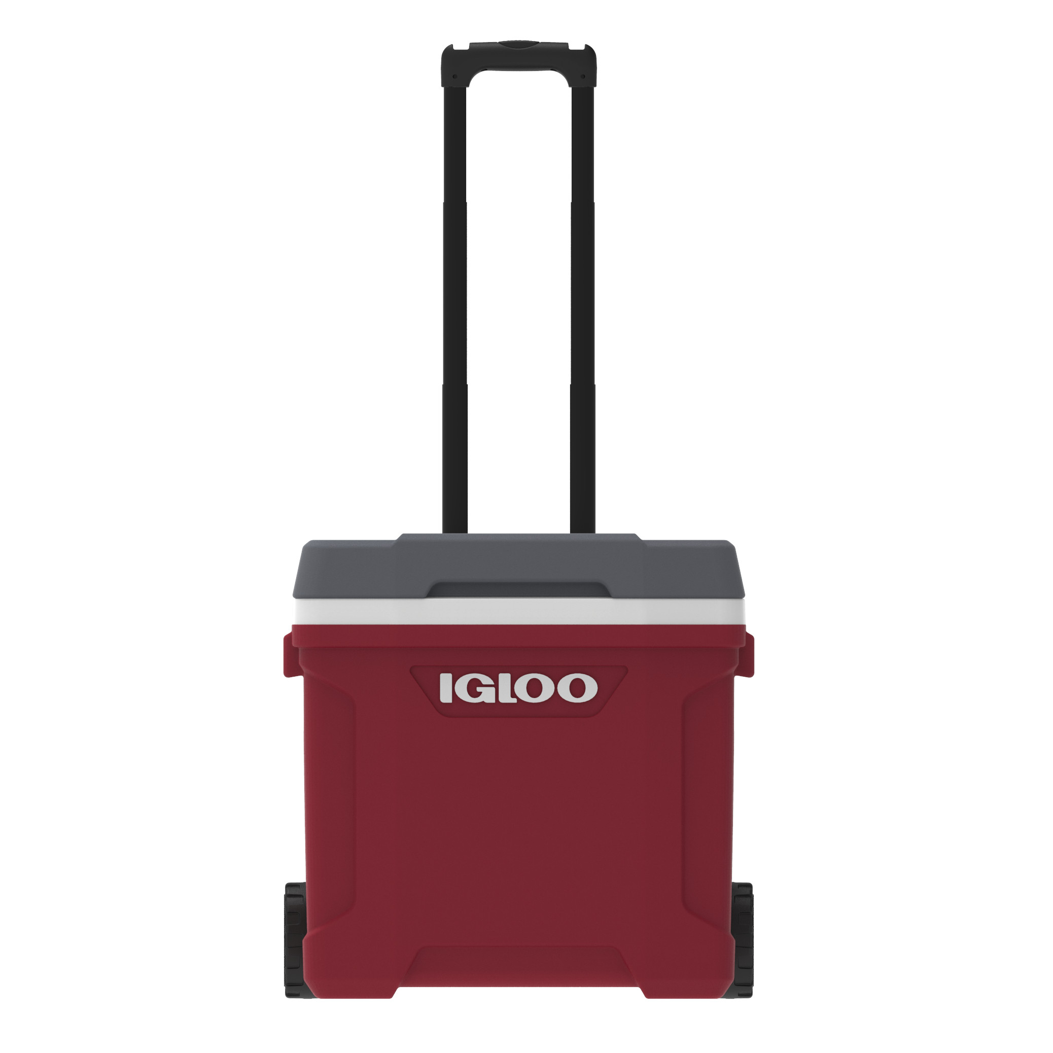Conservadora Igloo 25 Lts Bordo