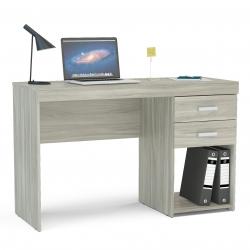 Escritorio Malta Gris 117172 75x46x120 cm
