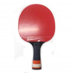 Paleta Ping Pong Stiga Delta