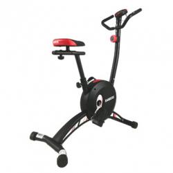 Bicicleta Vertical Randers ARG-132