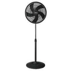 Ventilador de Pie Liliana 16