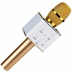 MICROFONO KIDS BT KARAOKE DOR