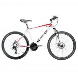 Bicicleta Mountain Bike Avelino Rodado 29