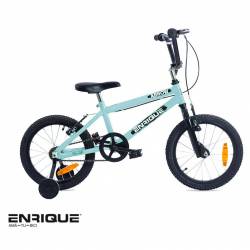 Bicicleta Mountain Bike Enrique Rodado 14