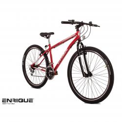 Bicicleta Mountain Bike Enrique Rodado 29