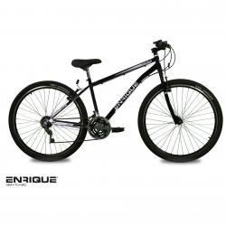 Bicicleta Mountain Bike Enrique Rodado 29