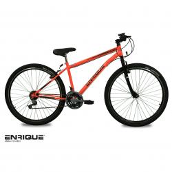 Bicicleta Mountain Bike Enrique Rodado 29