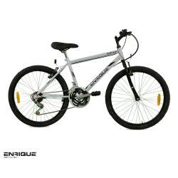 Bicicleta Mountain Bike Enrique Rodado 24