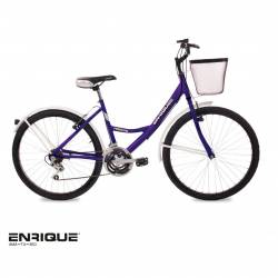 Bicicleta de Paseo Enrique Rodado 26
