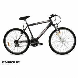 Bicicleta Mountain Bike Enrique Rodado 26