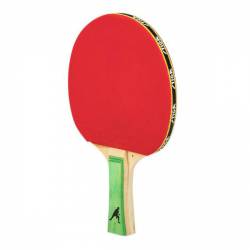 Paleta Ping Pong Stiga Xu Xin