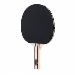 Paleta Ping Pong Stiga Altea Wrb