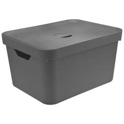 Caja Organizadora con Tapa Cube OU 32 Lts