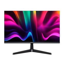 Monitor Noblex 25