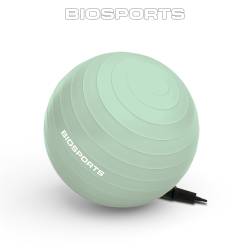 Pelota de Entrenamiento 55 Cm Biosports