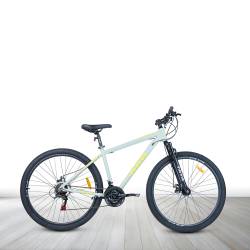Bicicleta MTB Enrique Rodado 29 Vrtigo Gris