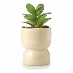 Plantin de Cerámica Artificial Cool Basic