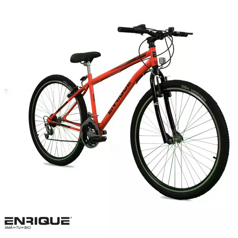 Bicicletas enrique discount rodado 29 precio